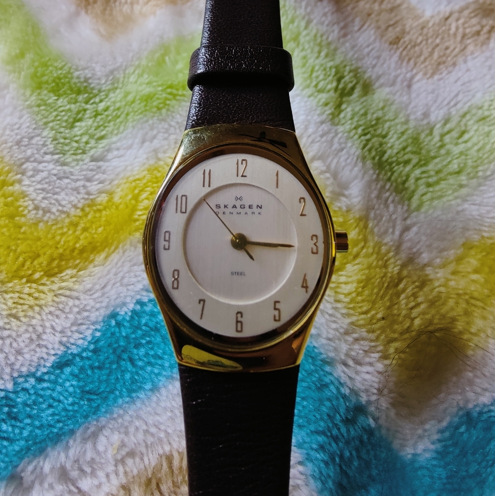 🎊Skagen Ladies 693 SGLD